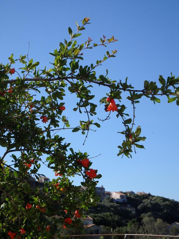 Appartement Cite Du Sel Porto-Vecchio  Eksteriør bilde